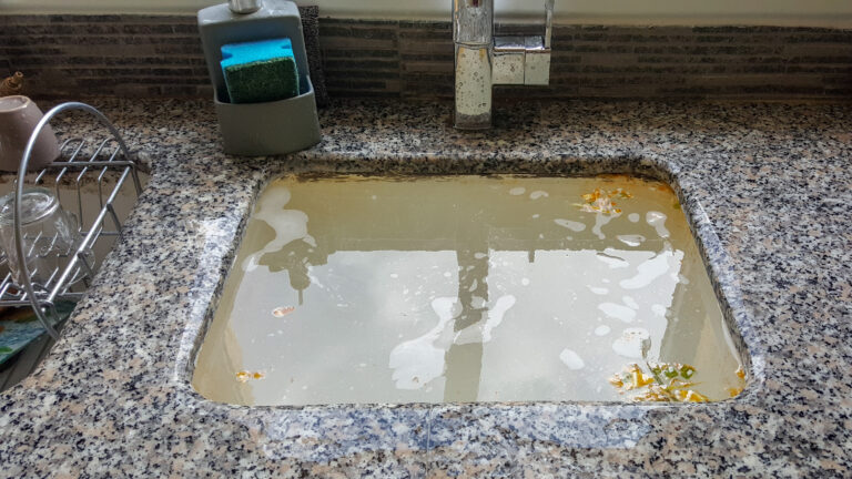 Drain Clog vs Sewer Line Blockage How to Tell the Difference