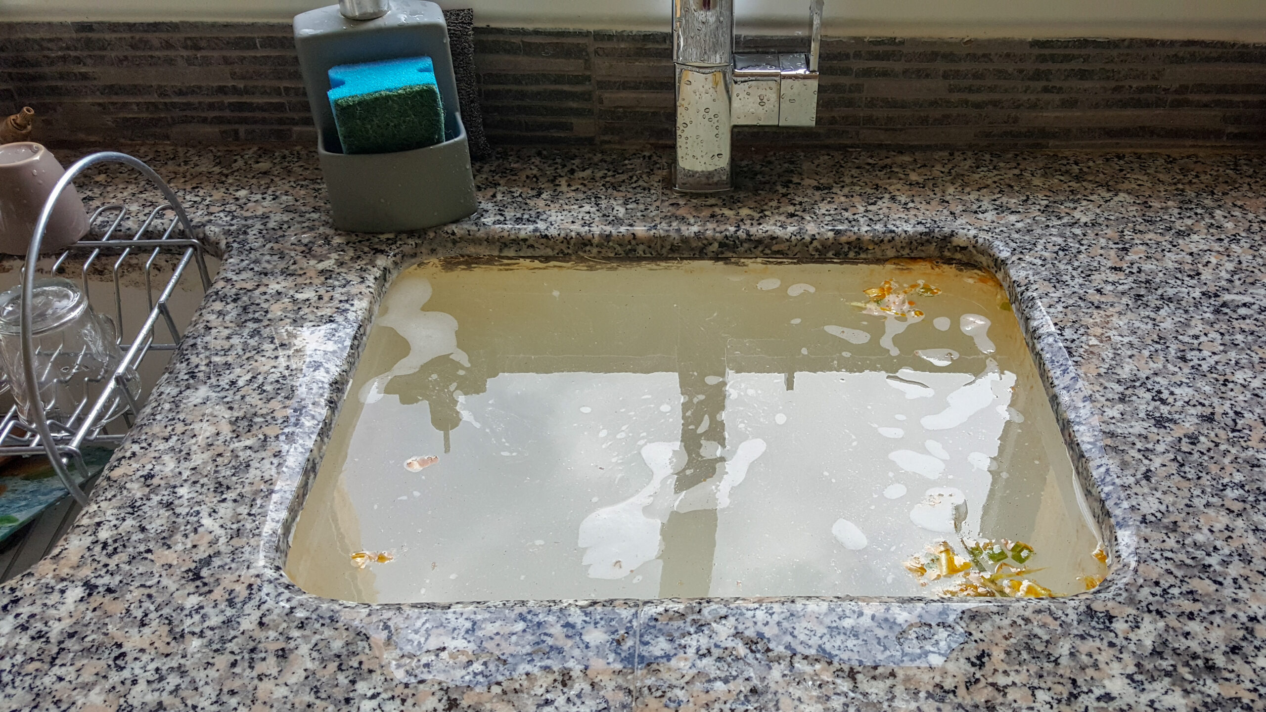 Drain Clog vs Sewer Line Blockage How to Tell the Difference